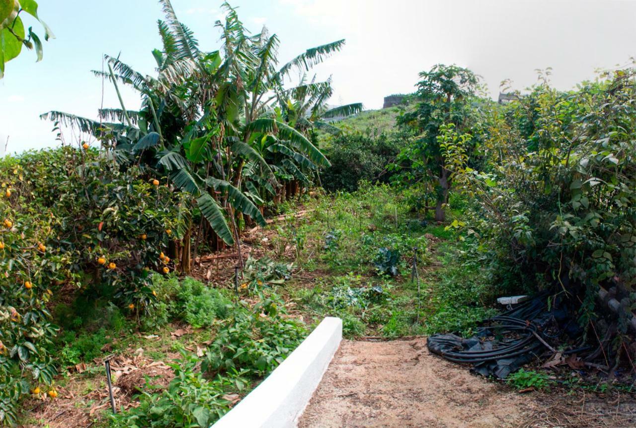 Bodega Goyo Apartamento Puntallana Exterior foto